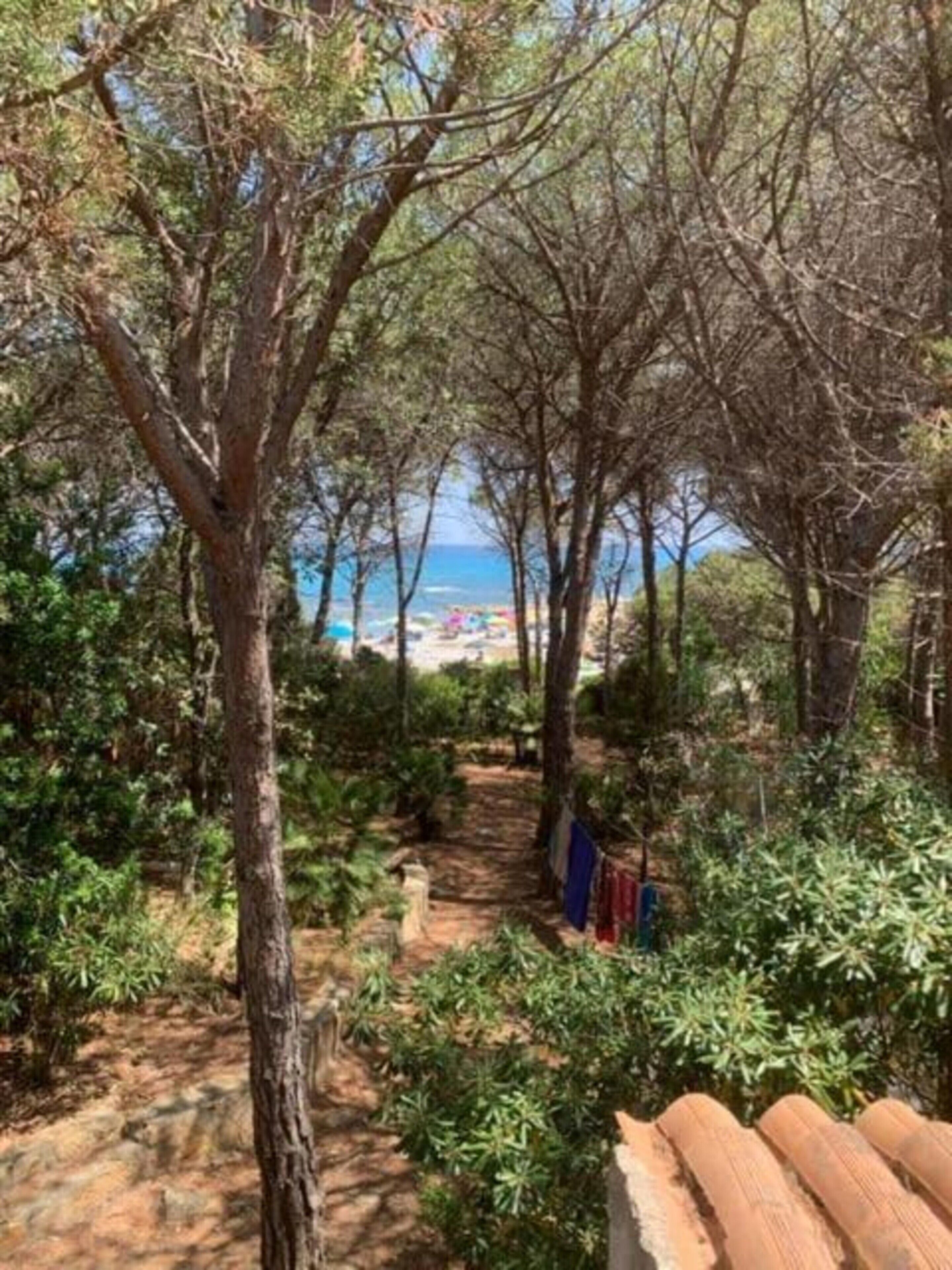 A pathway leading through a wooded area with trees and shrubs, towards a beach with umbrellas in the distance.