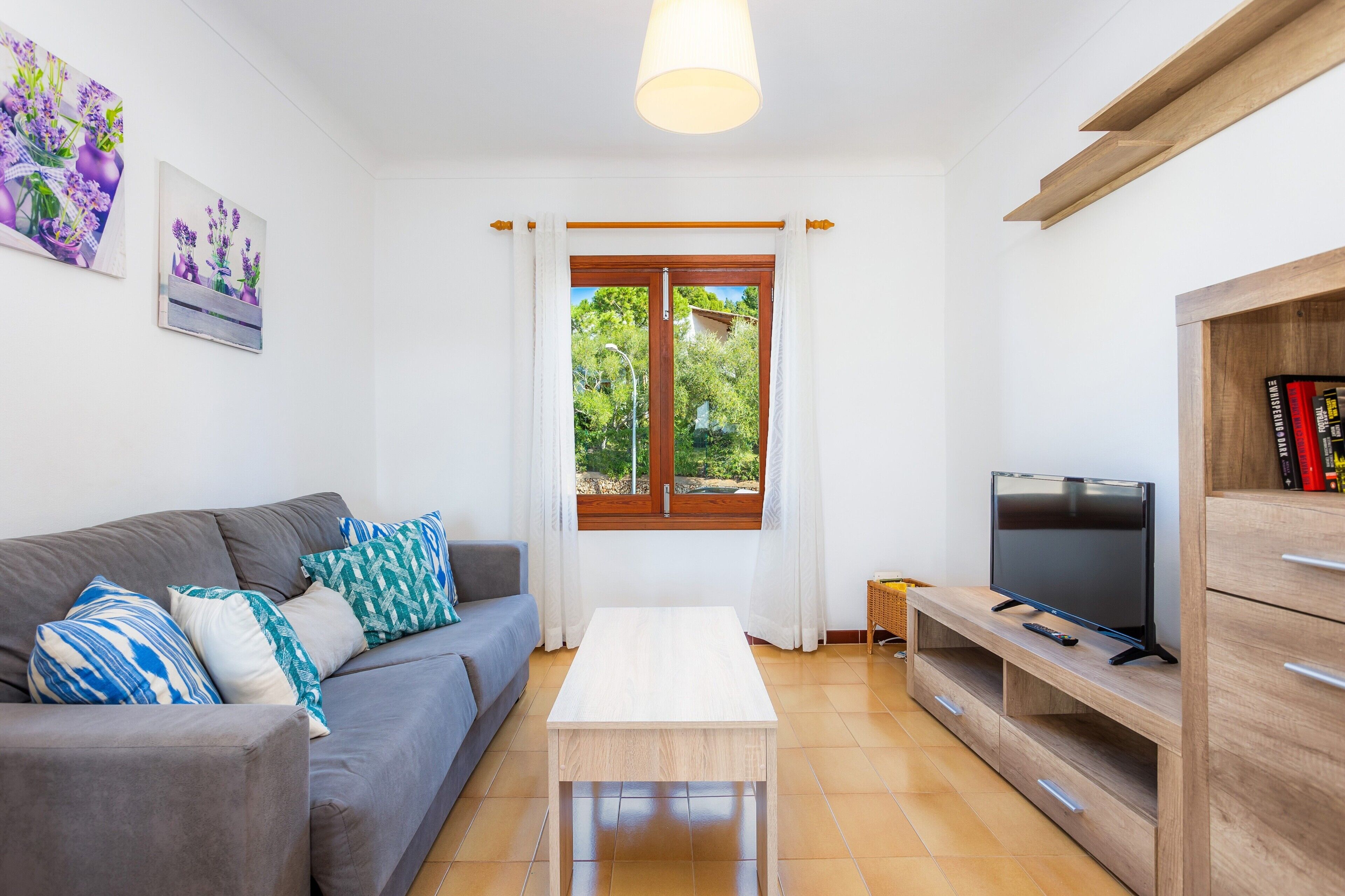 Télévision, cheminée