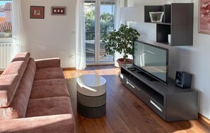 Televisio, takka, DVD-soitin, stereot