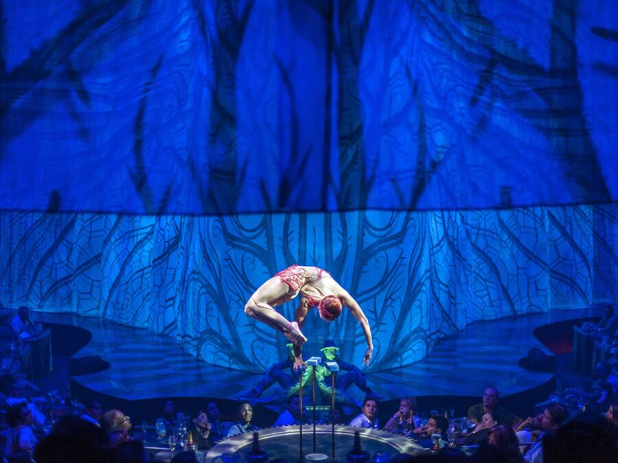 A circus performance with acrobats on a stage, an audience seated in front, and a large tree-like backdrop.