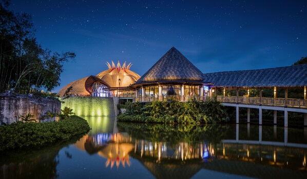 Theatre show - Jungala Hotel at VidantaWorld Riviera Maya (Playa del Carmen)