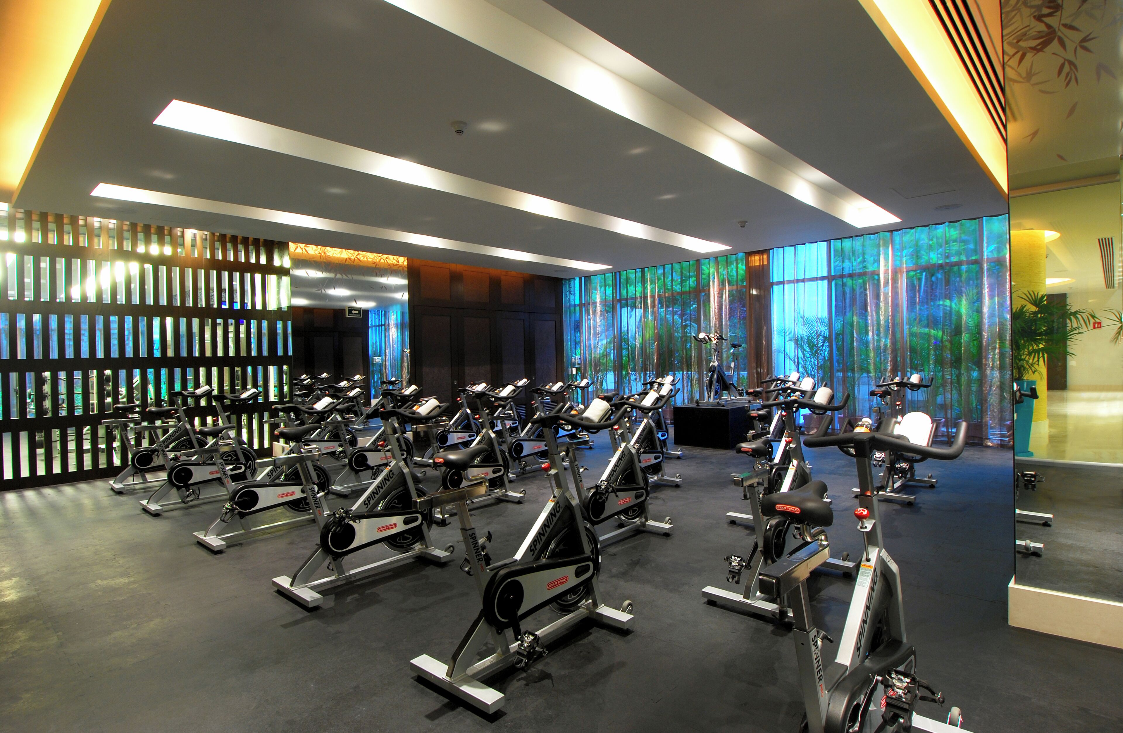 A gym with multiple stationary bikes arranged in rows, large windows with a view of greenery, and a modern ceiling design.