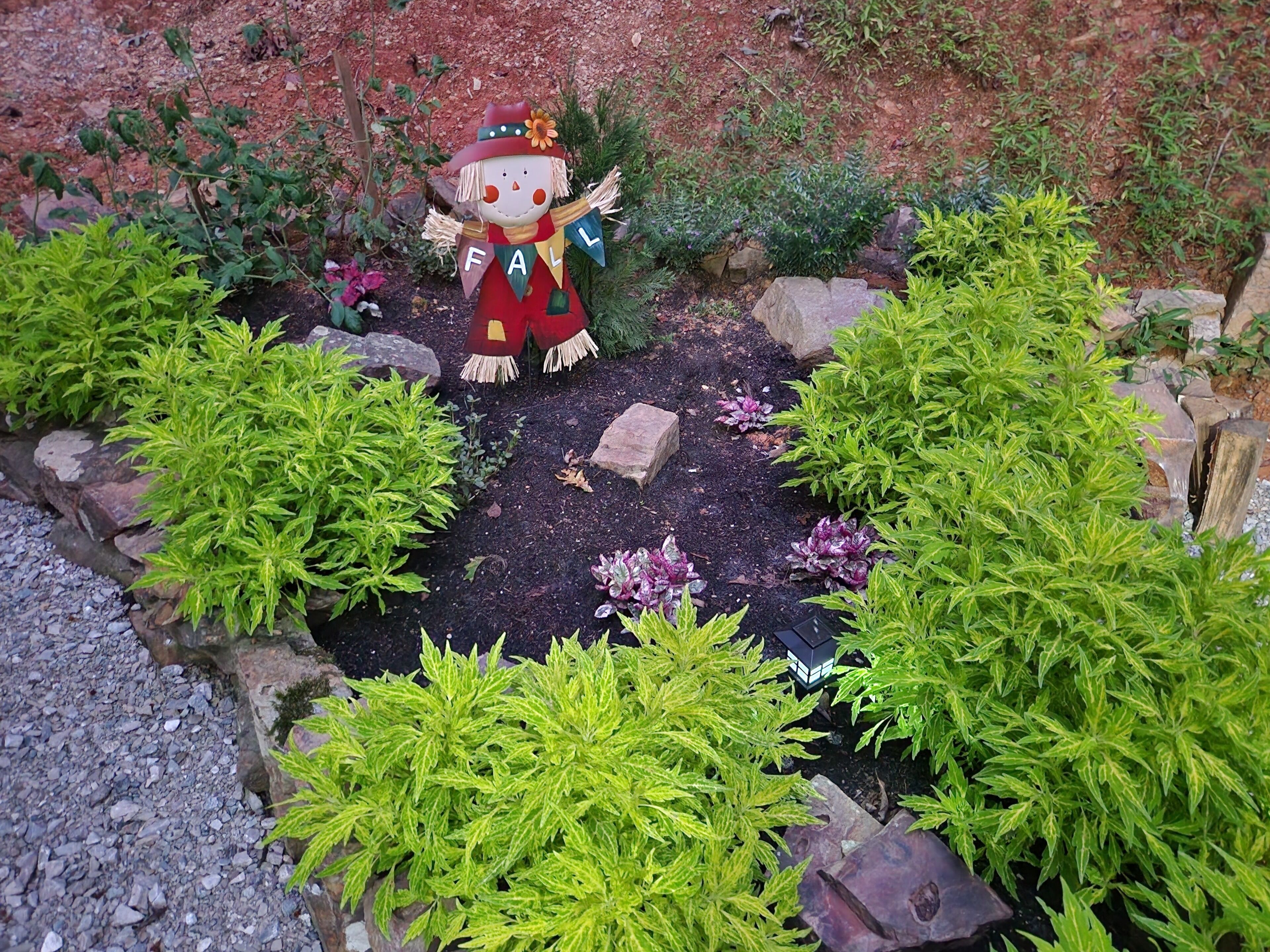 Ein Garten mit einer Vogelscheuche in der Mitte, umgeben von Pflanzen und Steinen.