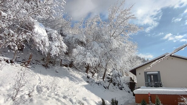 Una casa amb un teulat inclinat, envoltada d'arbres coberts de neu i un cel serè.
