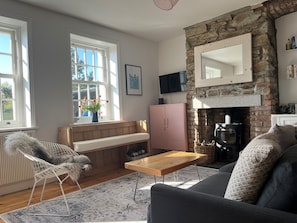 Smart TV, fireplace, books