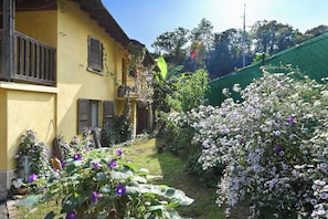 Área da propriedade