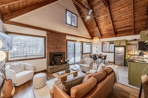 Smart TV, fireplace, books