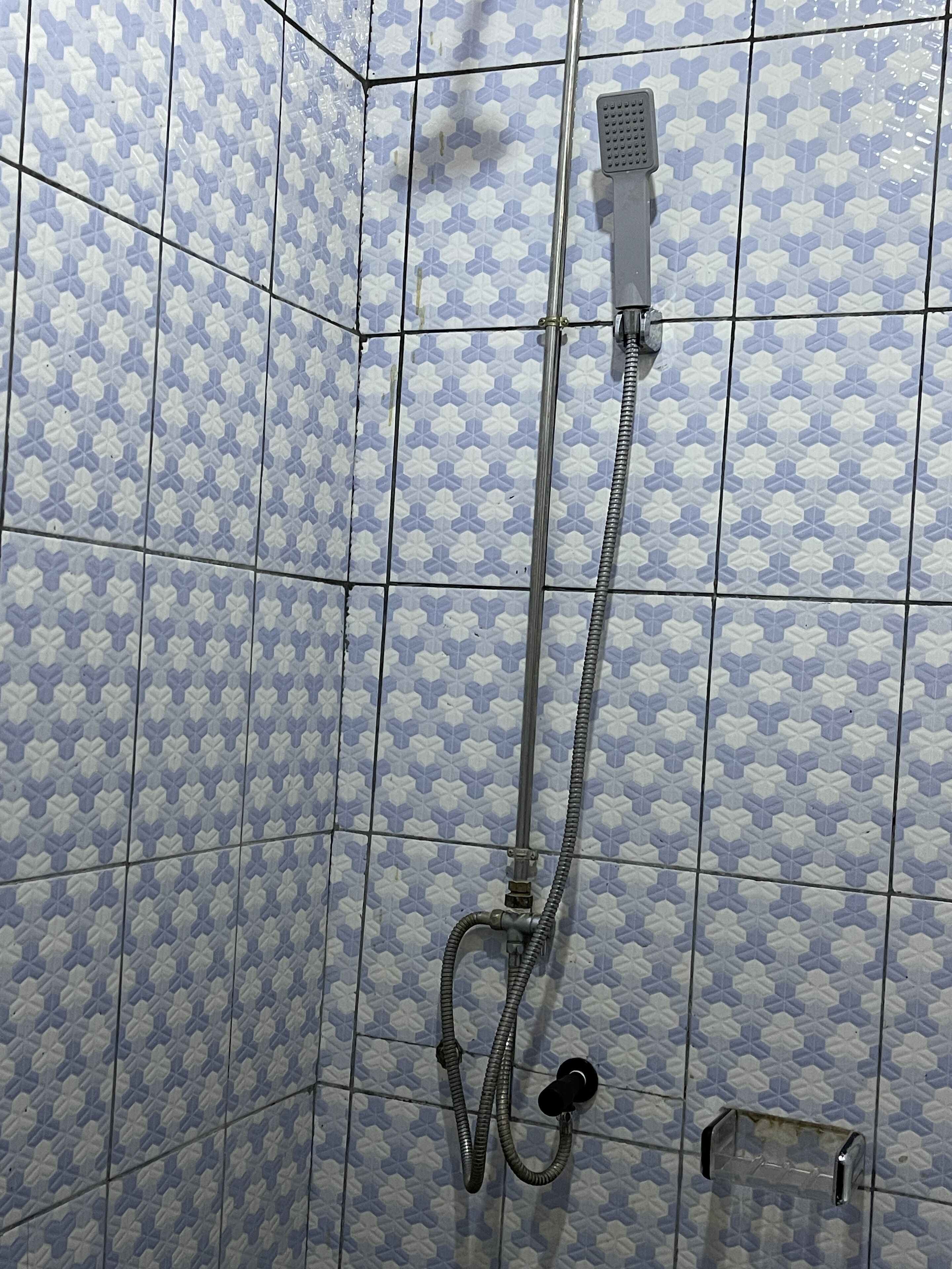 Ducha con cabezal de ducha manual y manguera flexible.