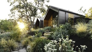 Un edificio moderno con techo inclinado, rodeado de un jardín ajardinado con diversas plantas y rocas.