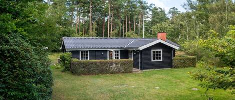 Eksteriør