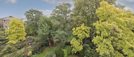 Apartment | 1 bedroom, Internet