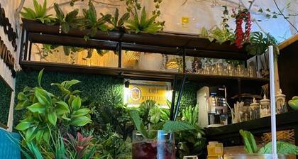 HOSTEL LA ANTIGUA CAPSULA