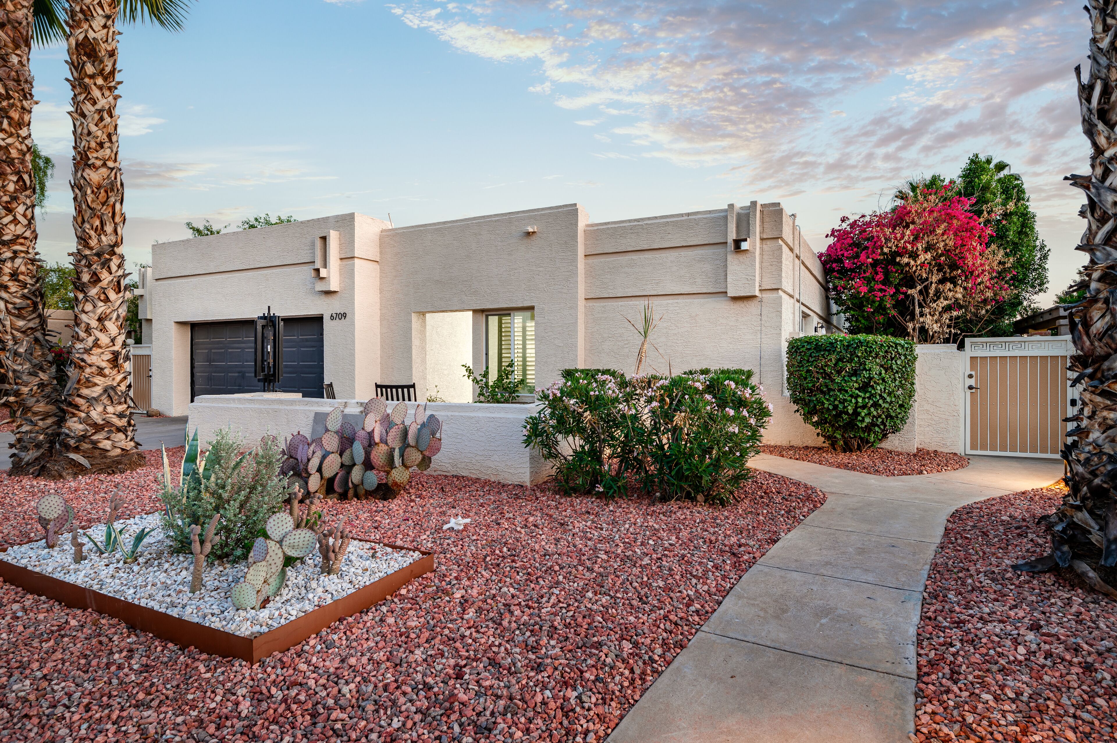 A modern house with a driveway, a garage, and a garden with cacti and a pink flowering tree.