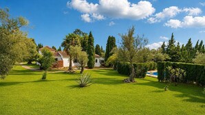 Un jardin bien entretenu avec une maison, une piscine et divers arbres.