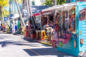 Miscellaneous - Caribbean Cabana: Your Perfect 3BR Oceanfront Retreat with Dockage, Pool and Breathtaking Views! (Summerland Key)
