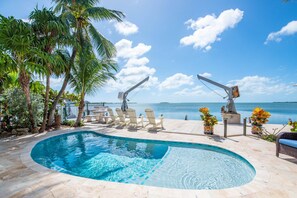 Unclassified image, 4 of 50, button