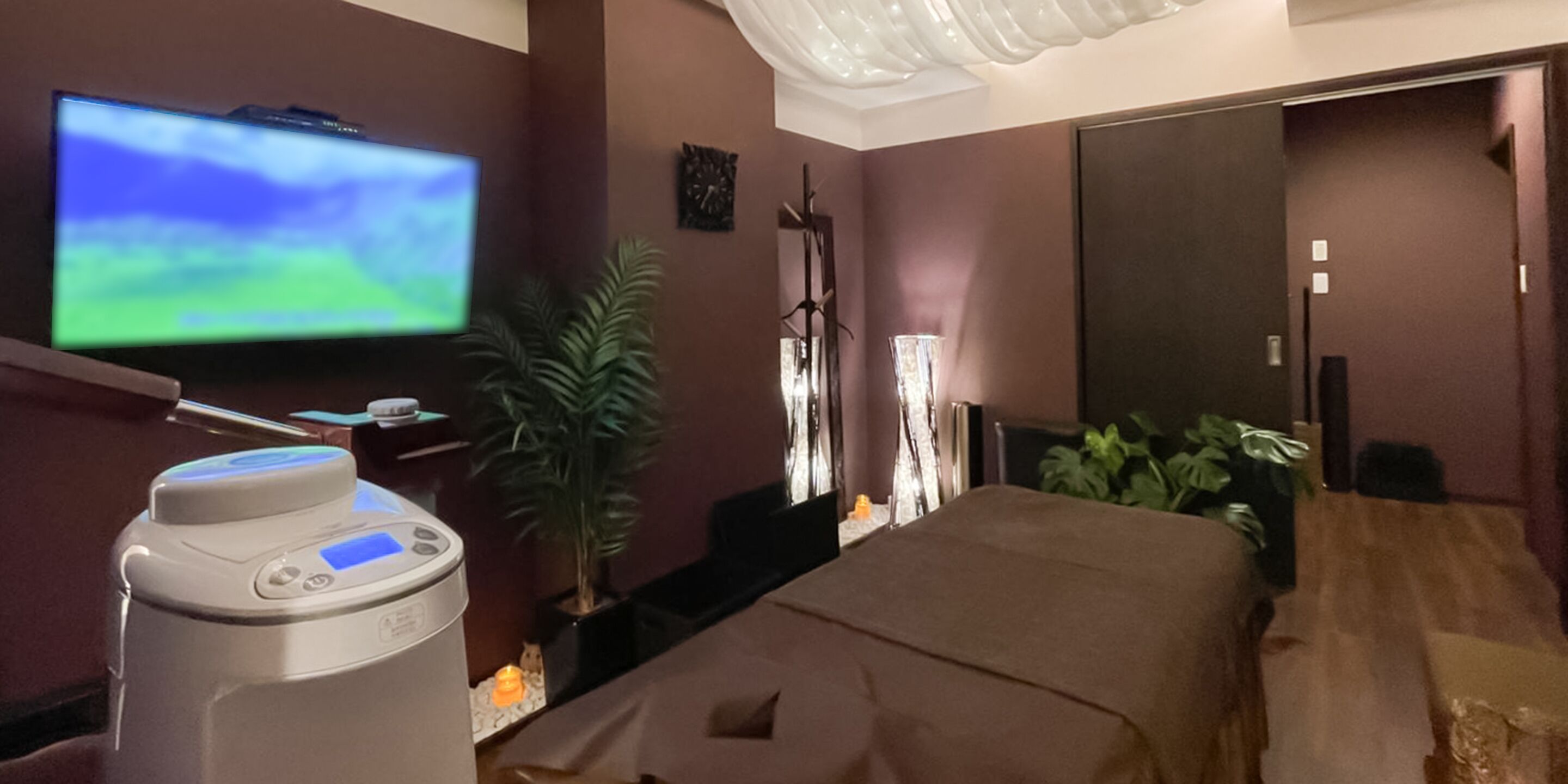 Habitación de hotel con cama, televisión en la pared, sillón de masajes y una planta.