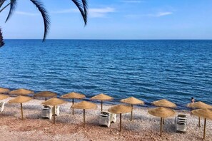 A beach with thatched umbrellas and chairs, a palm tree, and the sea.