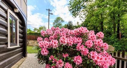 Arnoltice 7 by Interhome