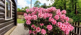 Arnoltice 6 by Interhome