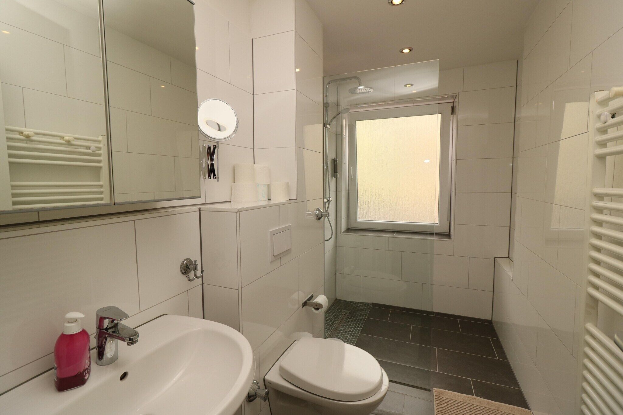 Shower, hair dryer