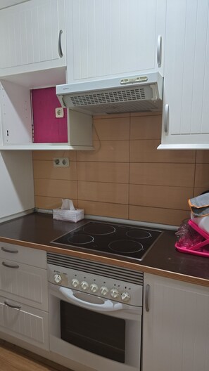 Microones, forn, placa de cuina i cafetera i tetera 