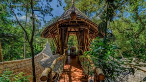 A bamboo bridge leading to a thatched-roof structure in a forested area.