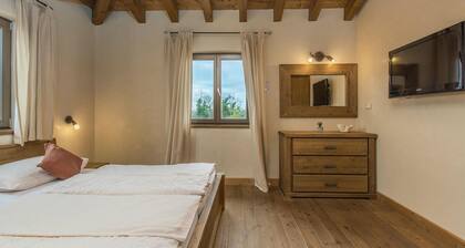Amazing home in Svetvincenat with sauna