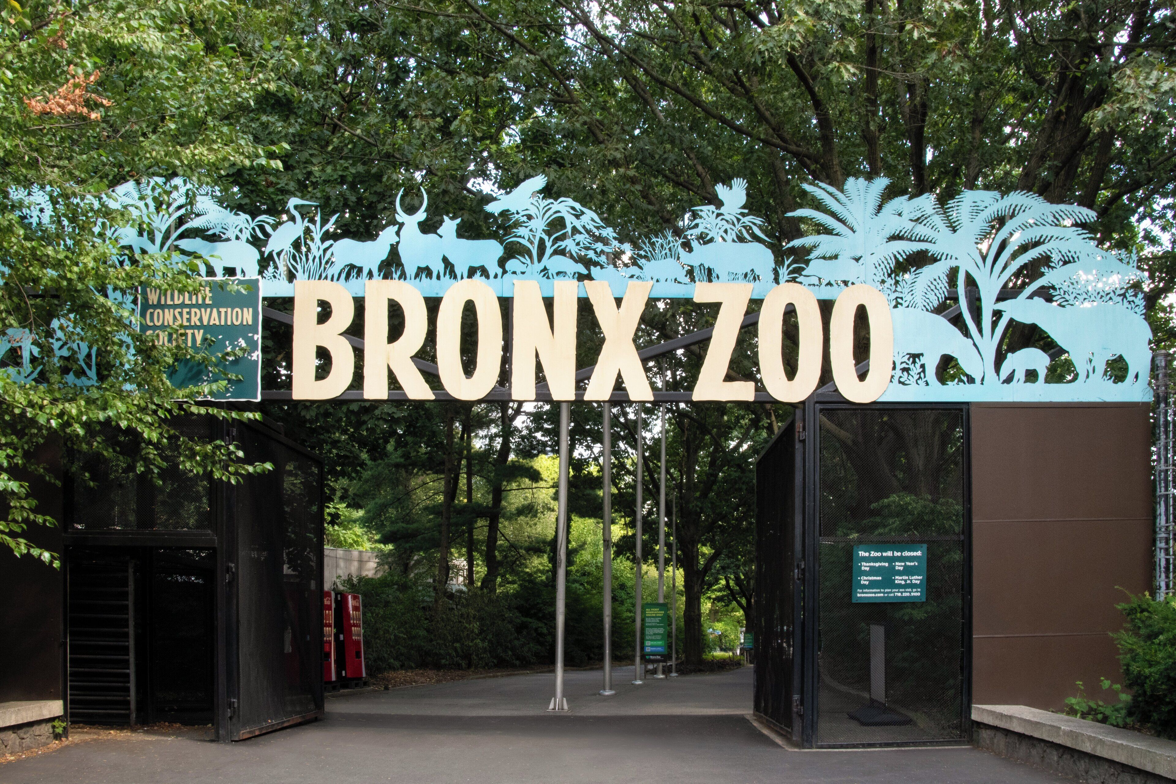 Foto - Holiday Inn Express & Suites Bronx - Zoo Area by IHG