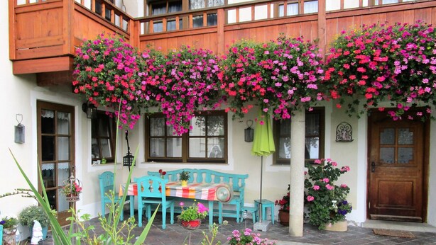 Une cour agrémentée d’une pergola en bois recouverte de fleurs roses, d’un banc turquoise et d’une table avec une nappe aux couleurs vives.