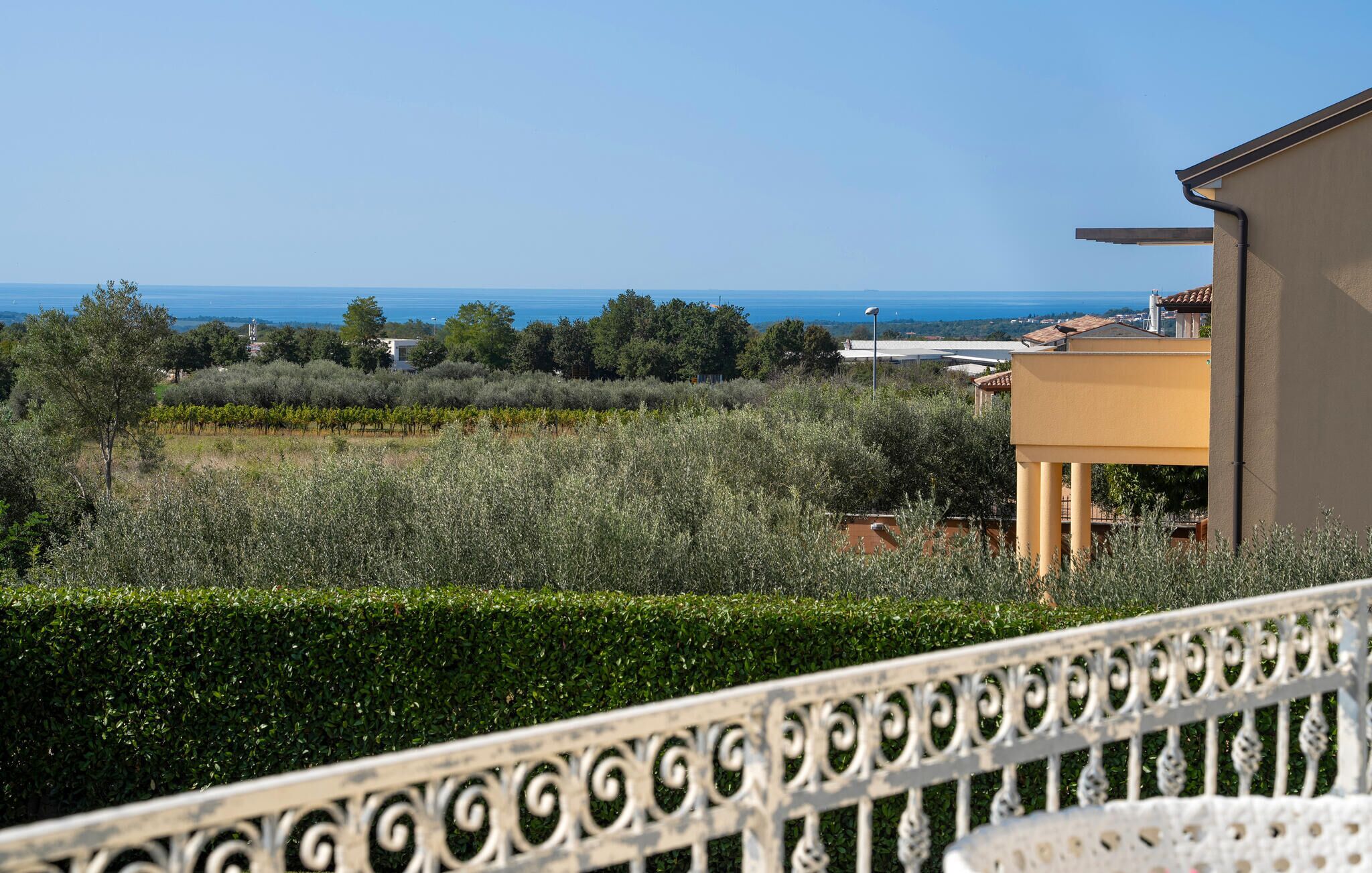 A balcony with a view of a vineyard, a clear sky, and a distant body of water.