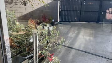 House | Property grounds