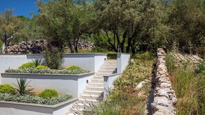 Una escalera exterior moderna que conduce a un edificio blanco rodeado de abundante vegetación y árboles.