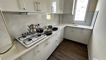 Comfort Apartment, 2 Bedrooms, Non Smoking, City View | Private kitchen | Mini-fridge, stovetop, electric kettle, griddle