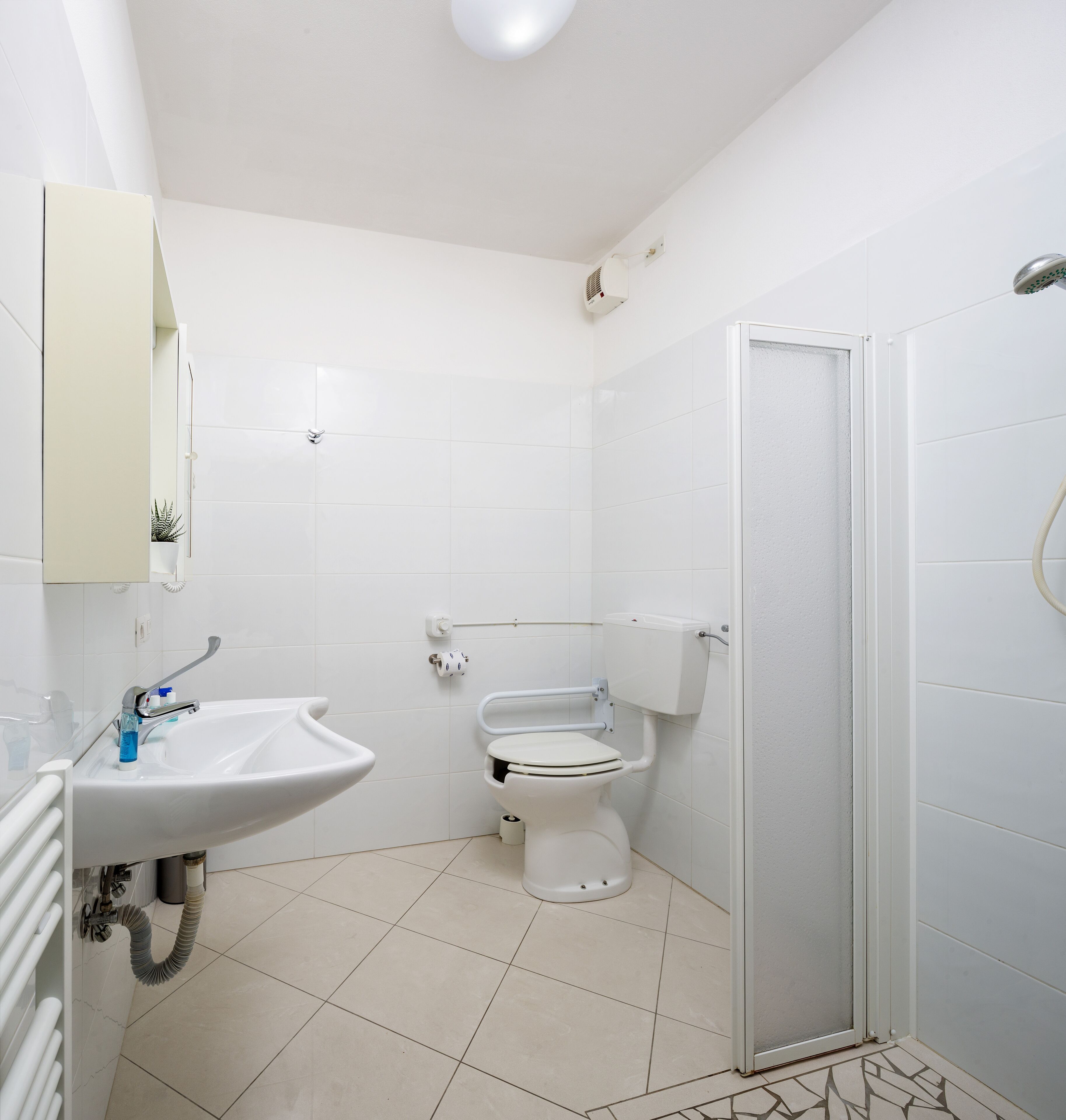 Une salle de bain avec un lavabo, des toilettes et une douche.