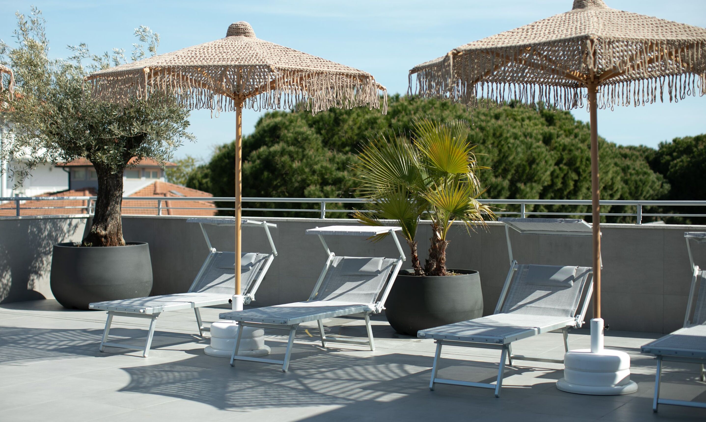 Een terras op het dak met loungestoelen en twee geweven parasols, een palmboom en een pot met een olijfboom.