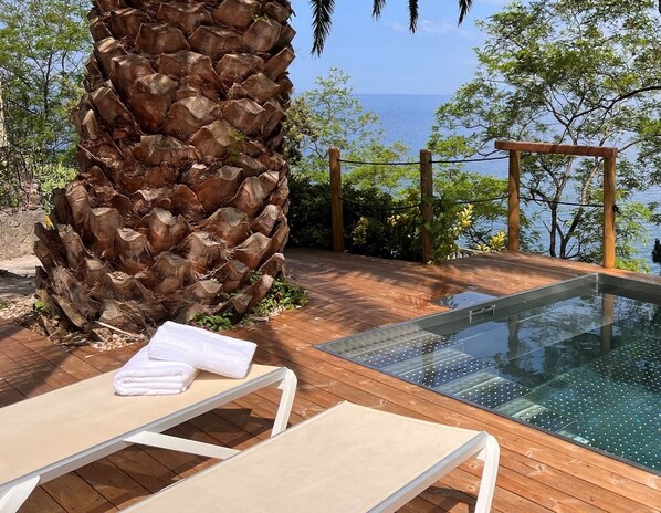 An infinity pool with a wooden deck, a palm tree, and a view of the sea.