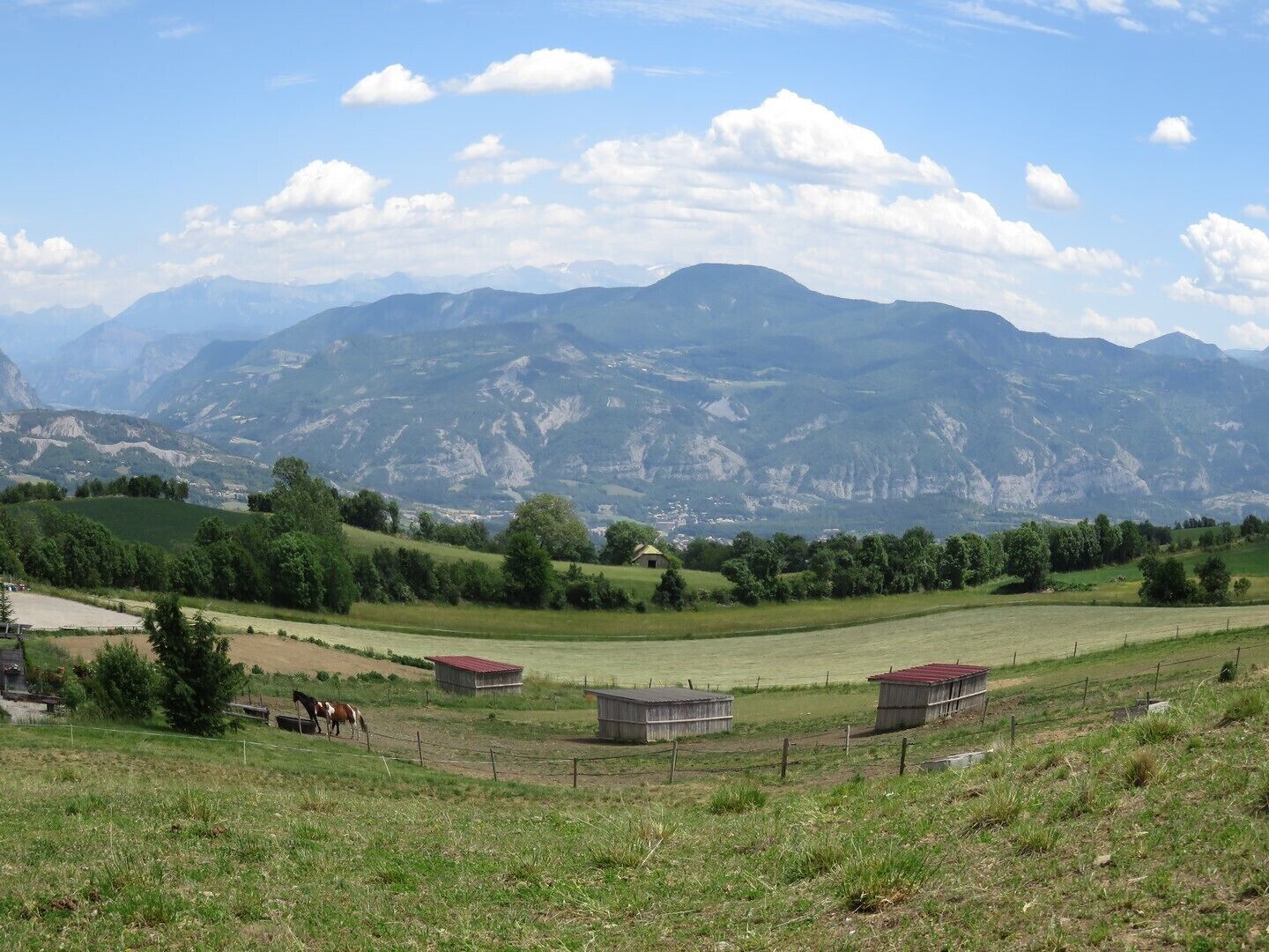 Paisaje rural con colinas ondulantes, algunos caballos y pequeñas construcciones.