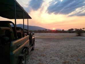 Safariture