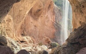 Niet-geclassificeerde afbeelding, 3 van 31, knop