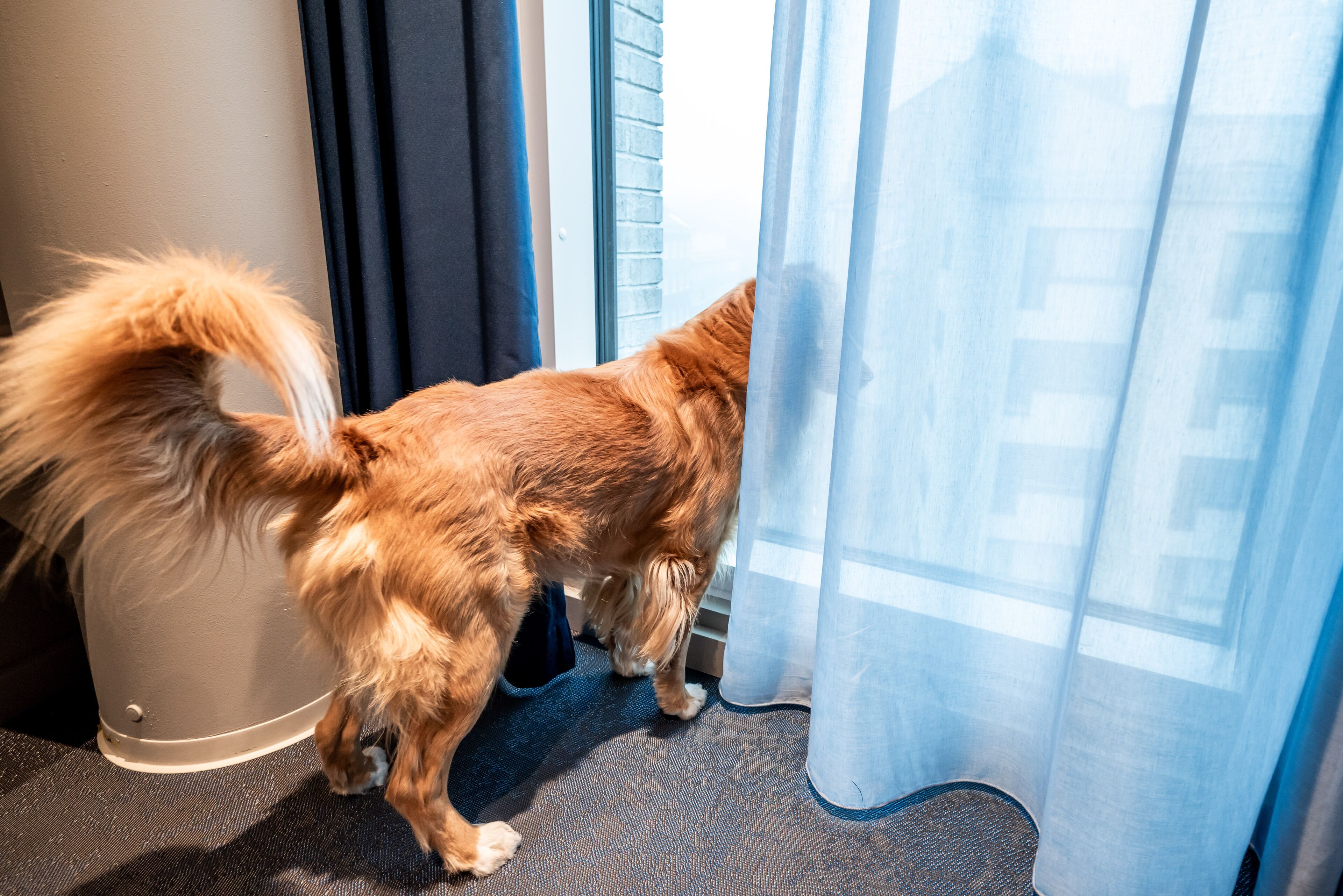 Photo - Citybox Helsinki