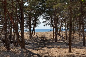 Playa en los alrededores