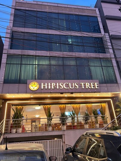 Hotel Hibiscus Tree- Bachupally