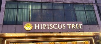 Hotel Hibiscus Tree- Bachupally