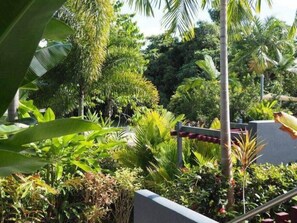 Property grounds - BeachHouse One ~ Beachfront Haven ~ 2 bedroom (Mission Beach)