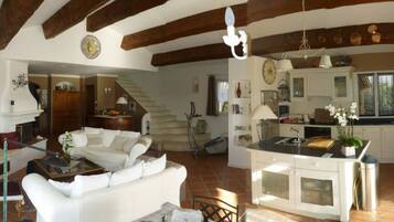 TV connectée, cheminée, lecteur de DVD, livres