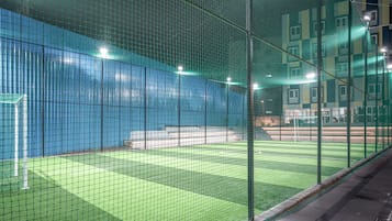 Instalación deportiva con zona delimitada por redes, un portero de fútbol y un campo de césped artificial verde.