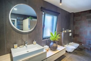 Ducha, secador de pelo, toallas, papel higiénico