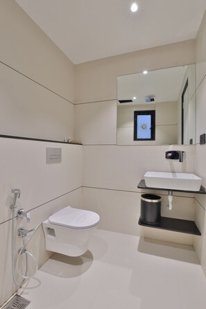 Hair dryer, slippers