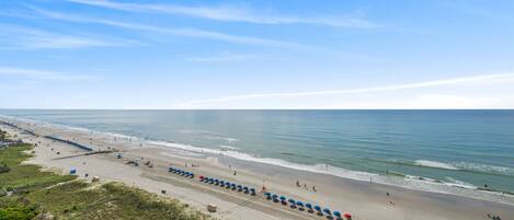 A beach with rows of umbrellas and beach chairs, a sandy shore, and the ocean.